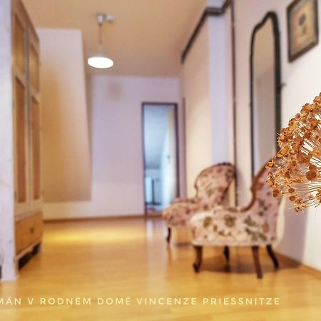 Apartma V Rodnem Dome Vincenze Priessnitze V Centru Lazni Jeseník Exterior photo