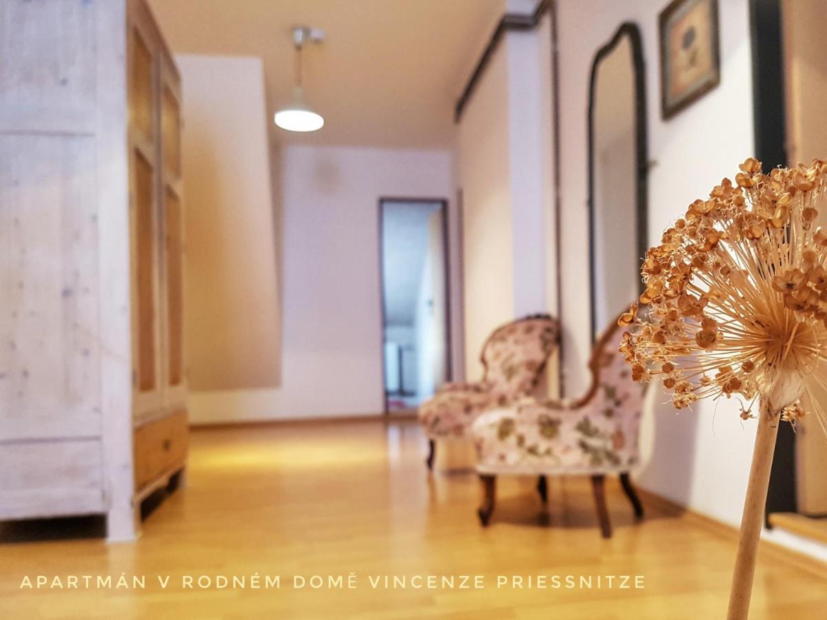 Apartma V Rodnem Dome Vincenze Priessnitze V Centru Lazni Jeseník Exterior photo